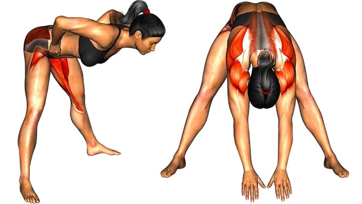 Morning Warm-up Exercises for Women