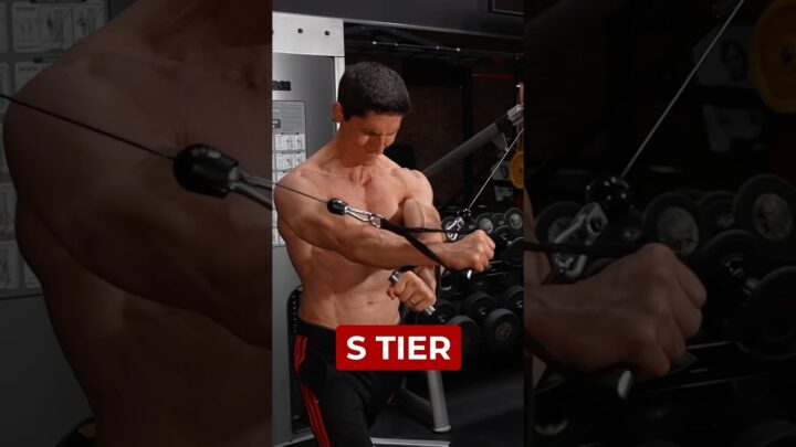 Chest Exercise Tier List (RANKINGS)