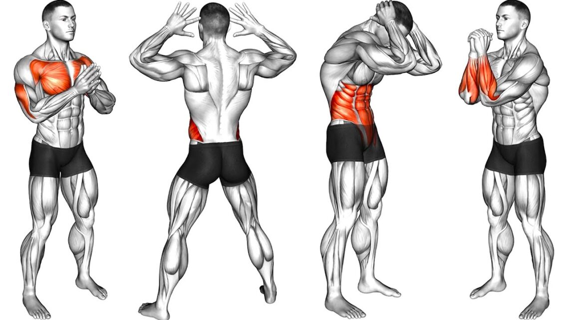 Standing Warm-up Exercises for Beginners