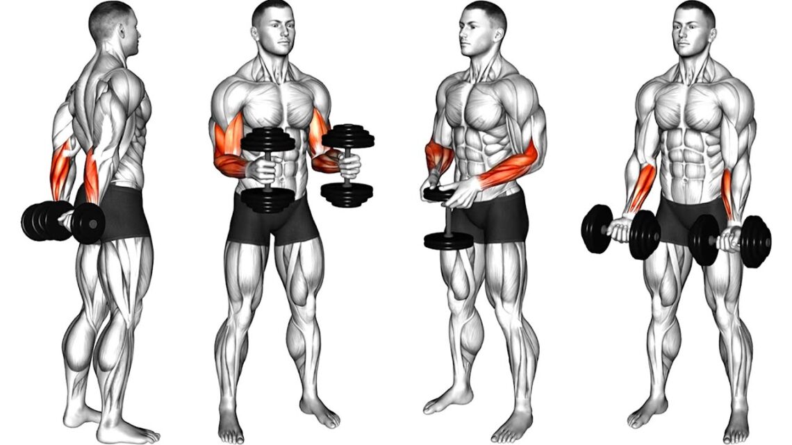 How To Build Big Forearms at Home with Dumbbells