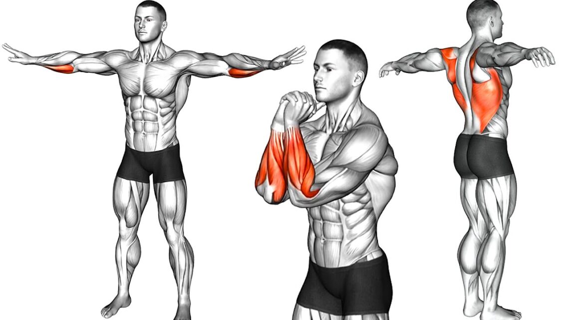 Best Upper Body Warm-Up Exercises