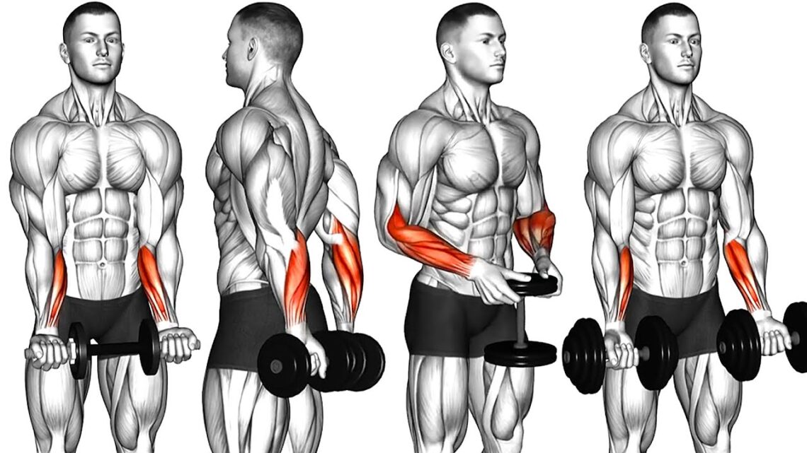 The Best Forearm Dumbbell Workout for Building Stronger Arms
