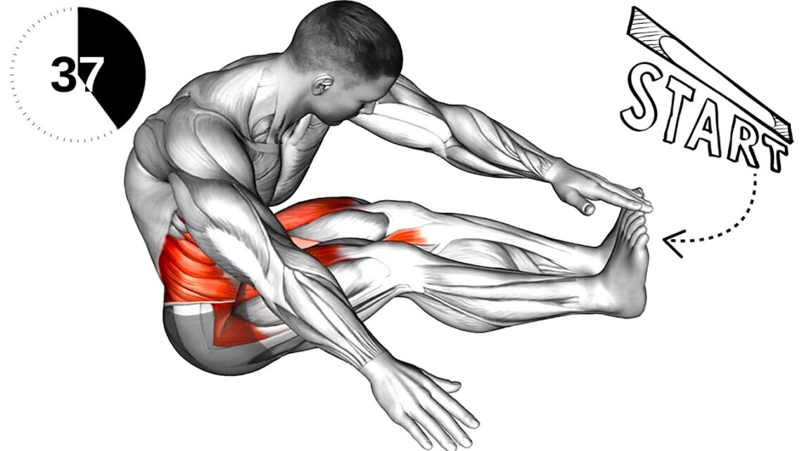 Best Stretches to Improve Flexibility and Mobility