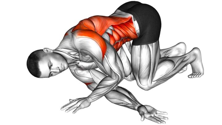 Mobility Stretches at Home for Beginners