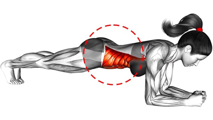 Flat Stomach and Abs  Weight Loss Challenge