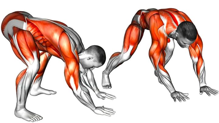 Bodyweight Exercises At Home without Equipment