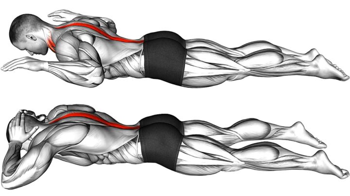 Try These 10 Exercises for Better Posture