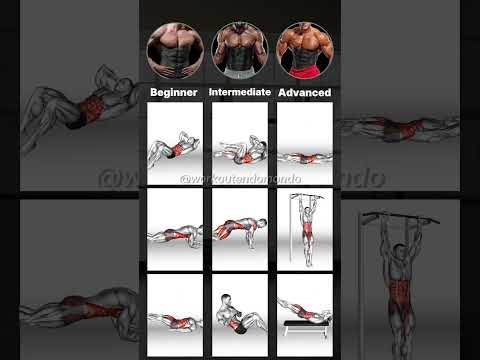 ABS WORKOUT for EVERYONE: From BEGINNER to ADVANCED for a Strong Core!