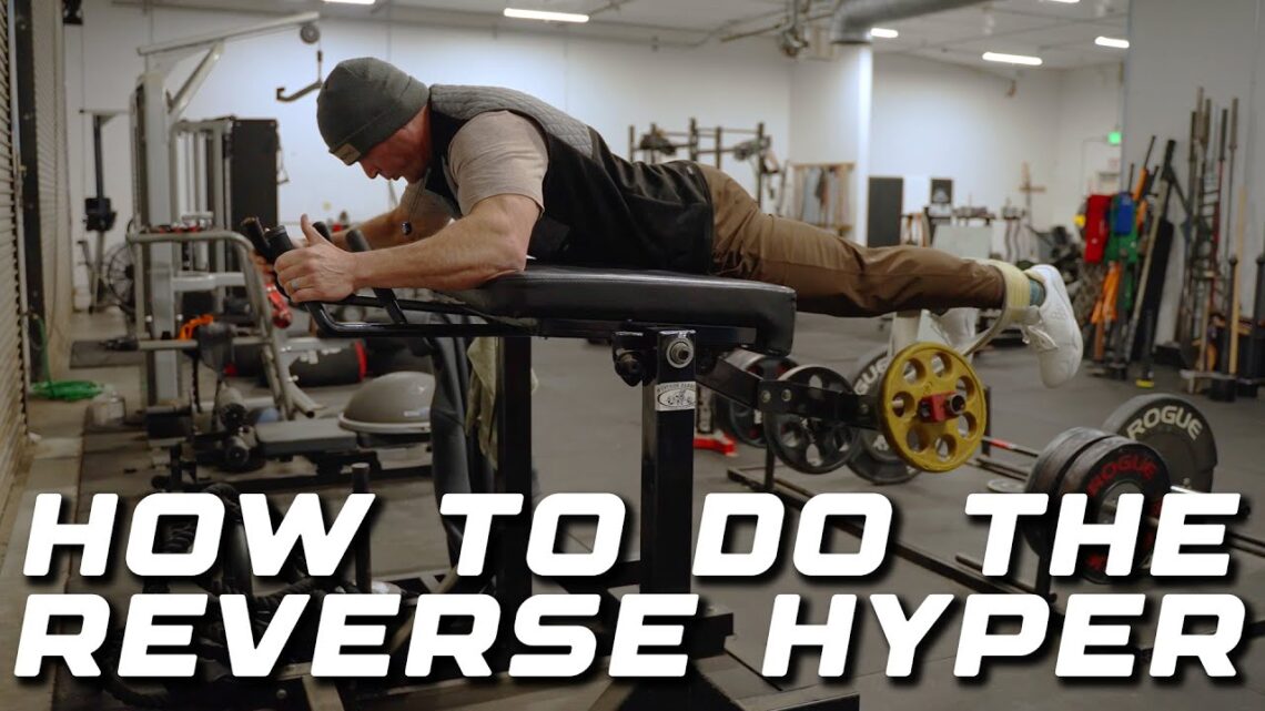 How to Use the Reverse Hyper Correctly (Most People Do It Wrong)
