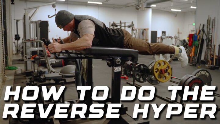 How to Use the Reverse Hyper Correctly (Most People Do It Wrong)