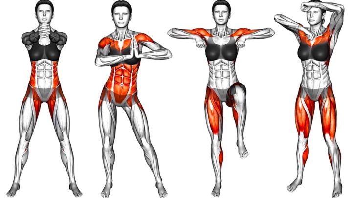 7Min Warm Up Exercises for Beginners