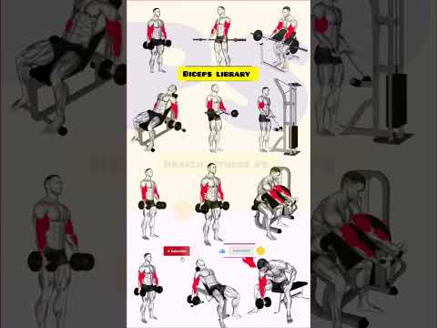 The Ultimate Bicep Workout Guide (Charts Included)