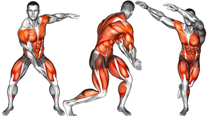 Full Body Dynamic Warm-Up Routine