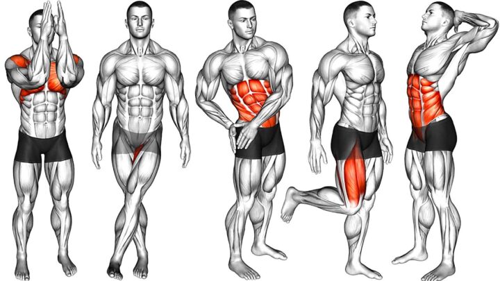 7 Min Morning Warm Up Routine (You Can Do Everyday)