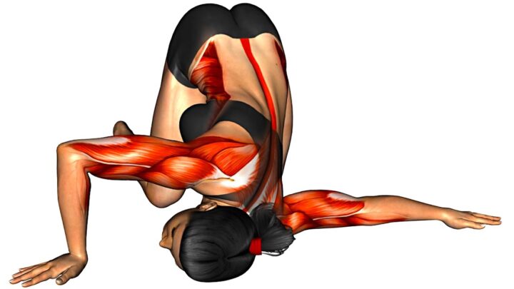 Do These Exercises in The Morning After Waking-Up