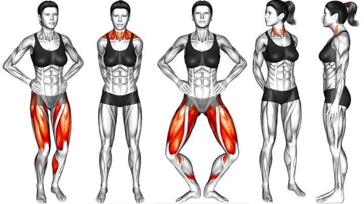 Morning Exercise for Women (Beginners Friendly)