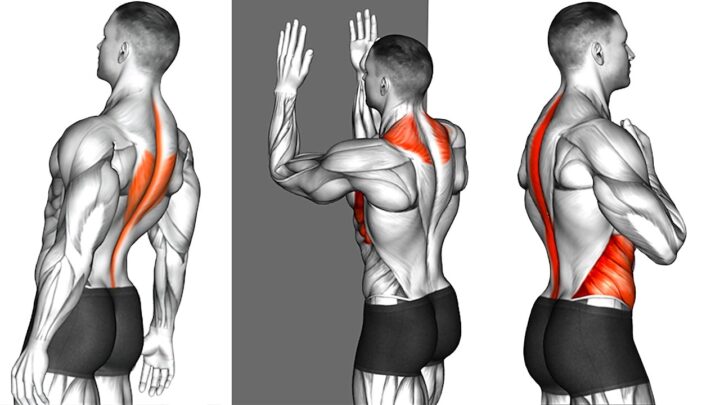 Training For Back Pain – How To Get Started