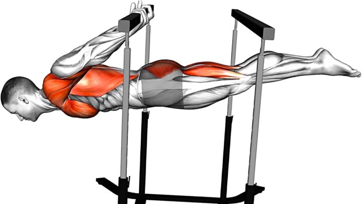 2% of the worlds people can do these exercises