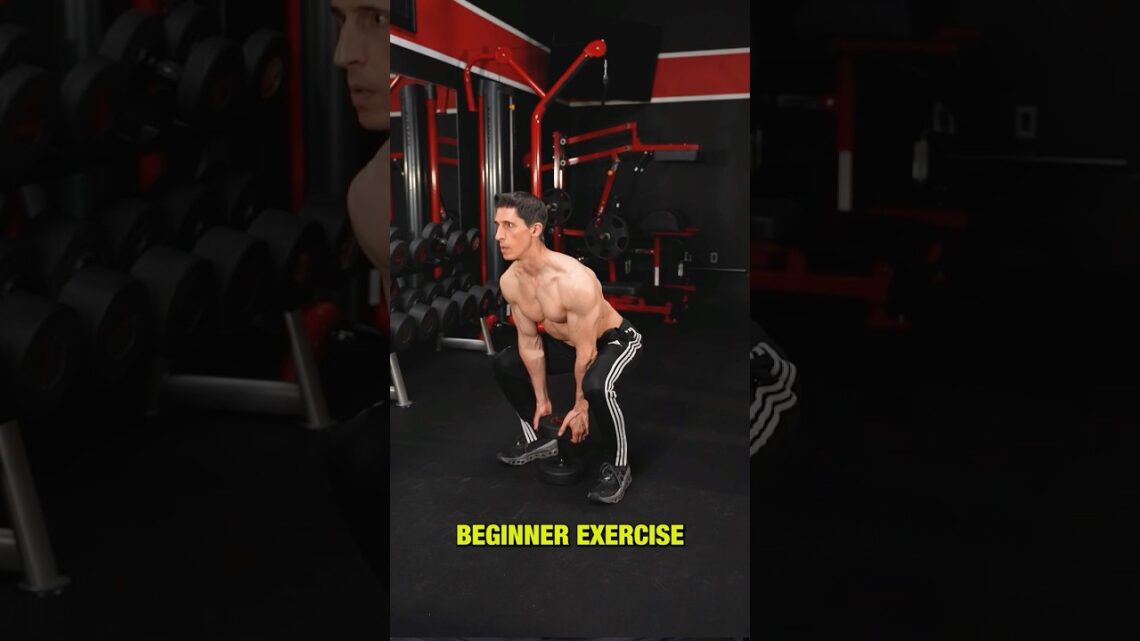 The BEST Workout for Beginners