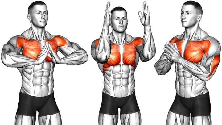 Full Body Stretching – Daytime Routine