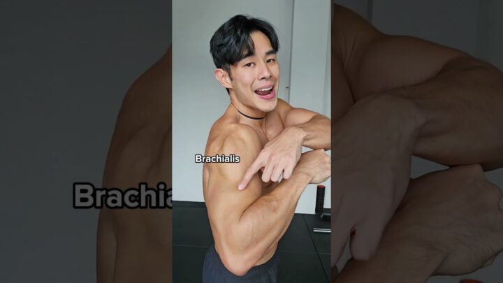 This Helps You Understand All Your Muscles Fast