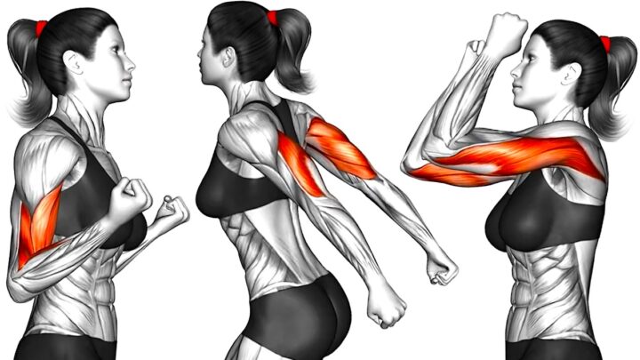 How To Tone Flabby Arms in 2 Weeks