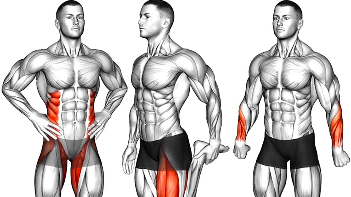 Morning Home Workout Routine – Wake Up Your Body