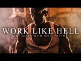 WORK LIKE HELL – Best Gym Training Motivation